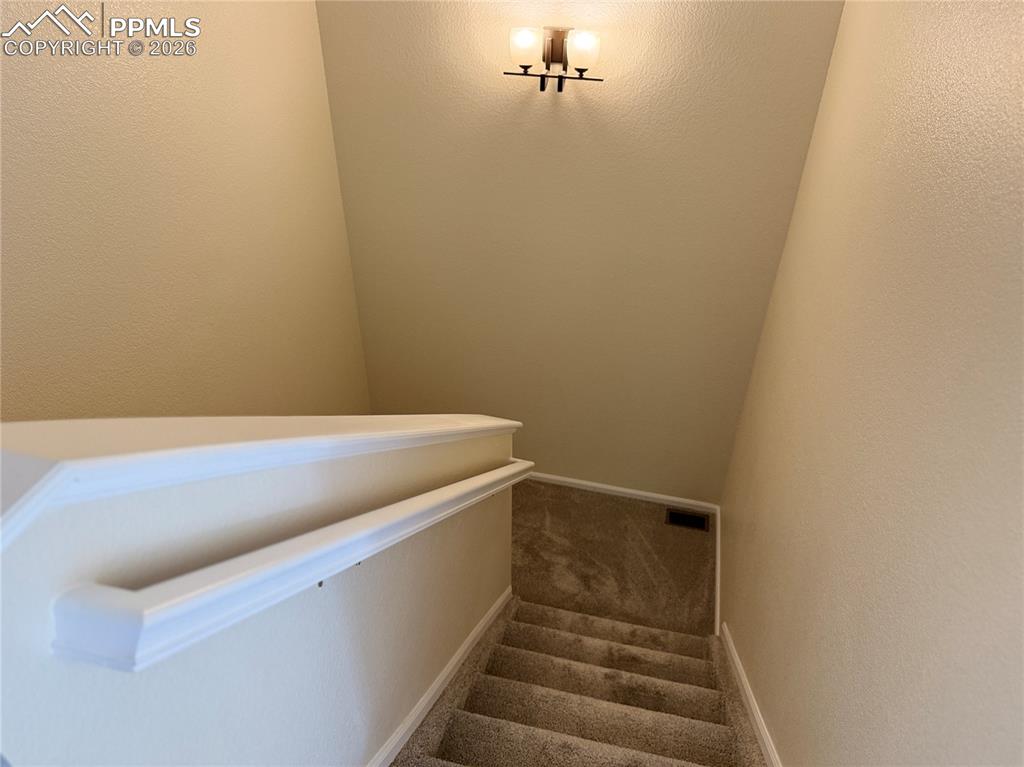 8728 Eckberg Heights Colorado Springs CO 80924