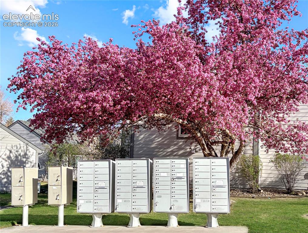 422 Cobblestone Drive Colorado Springs CO 80906