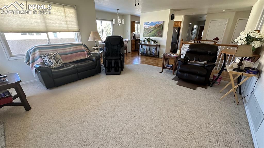 198 Luxury Lane Colorado Springs CO 80921