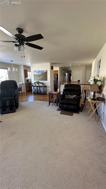198 Luxury Lane Colorado Springs CO 80921