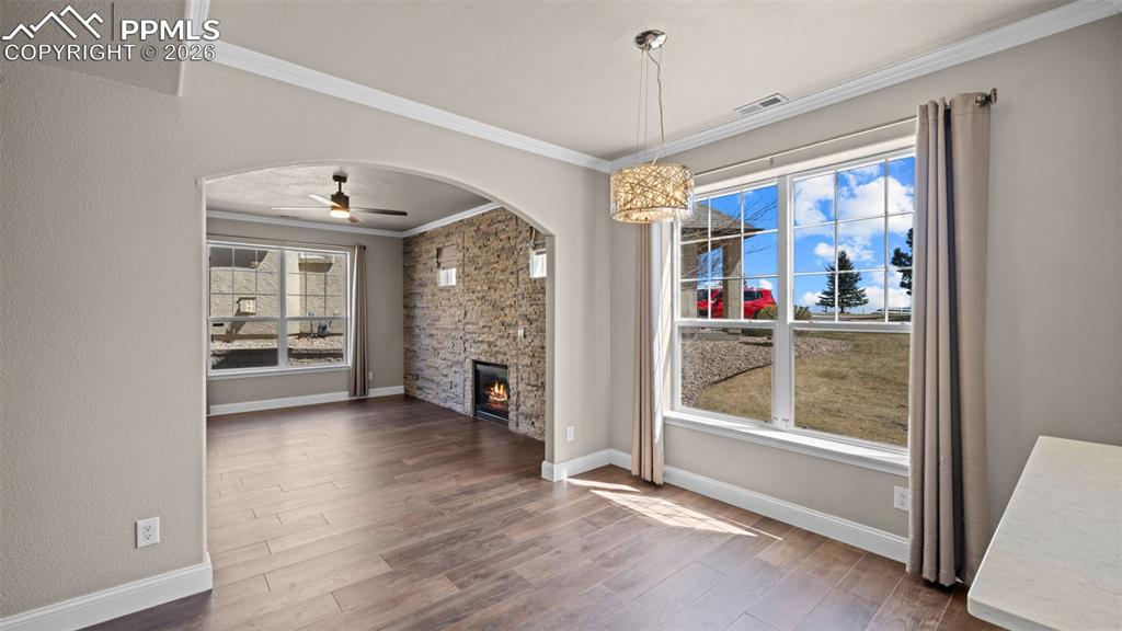 4253 Alder Springs View Colorado Springs CO 80922