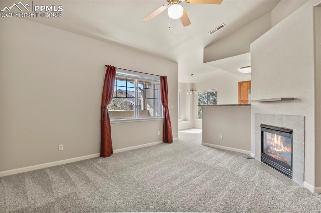 7004 Ash Creek Heights Colorado Springs CO 80922