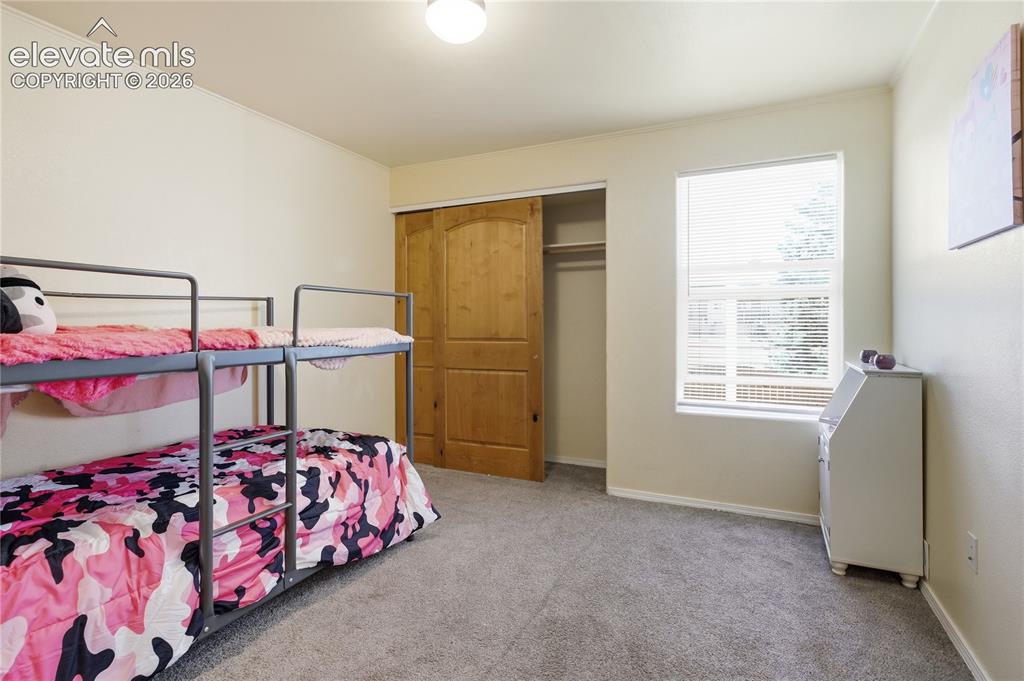 4839 Rusty Nail Point Colorado Springs CO 80916