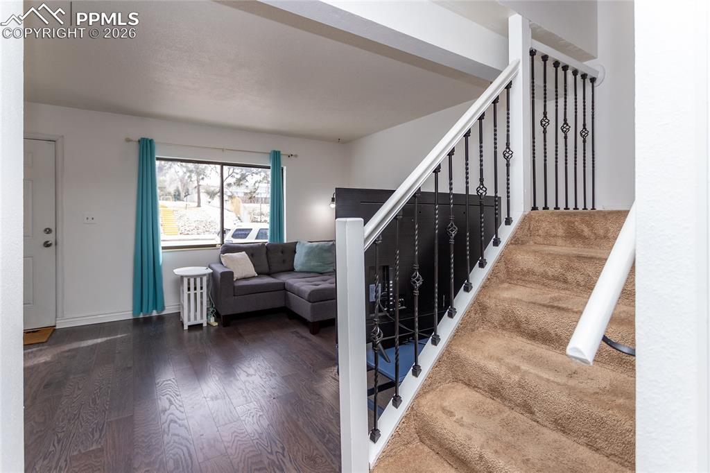 3808 Oro Blanco Drive Colorado Springs CO 80917