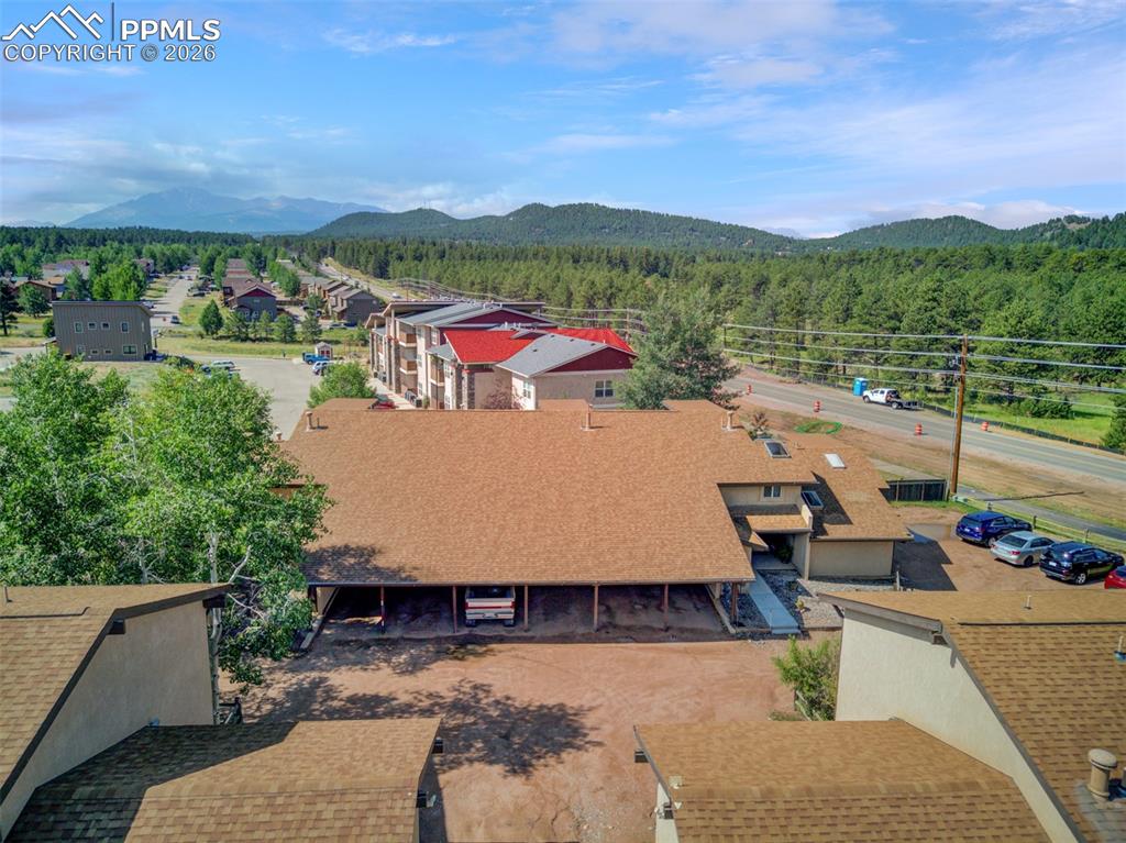 755 Apache Trail Woodland Park CO 80863