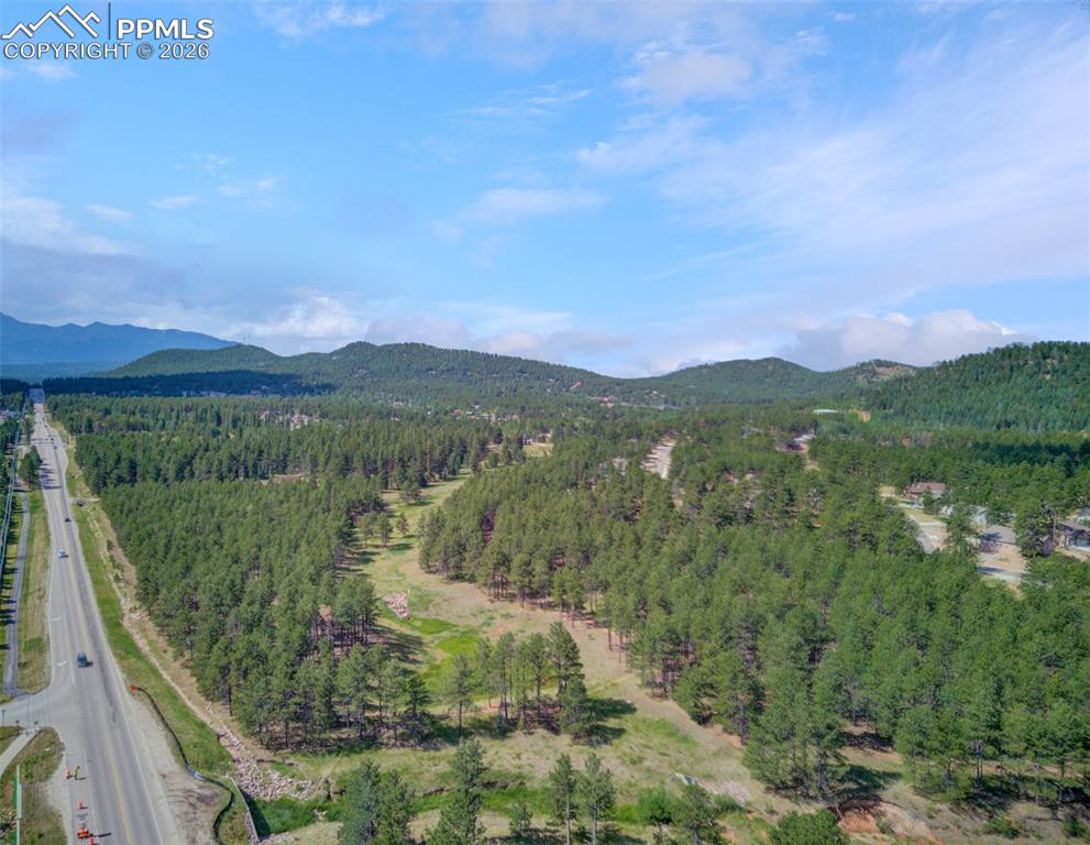 755 Apache Trail Woodland Park CO 80863