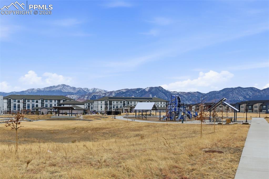 10653 Larimar Point Colorado Springs CO 80908