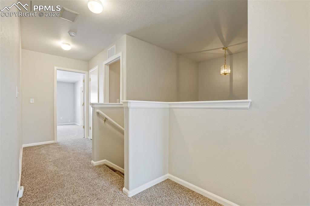 5925 Tympany Point Colorado Springs CO 80923
