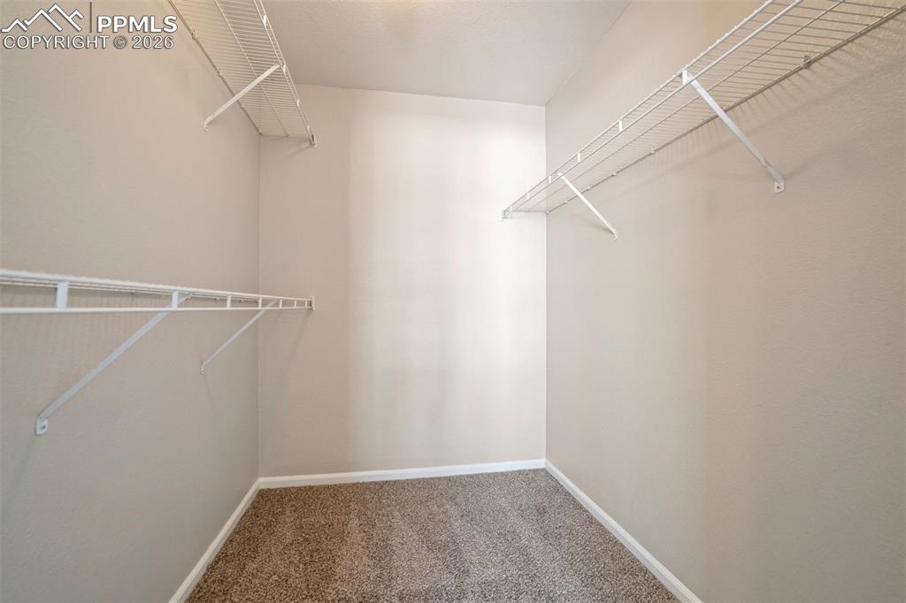 5925 Tympany Point Colorado Springs CO 80923