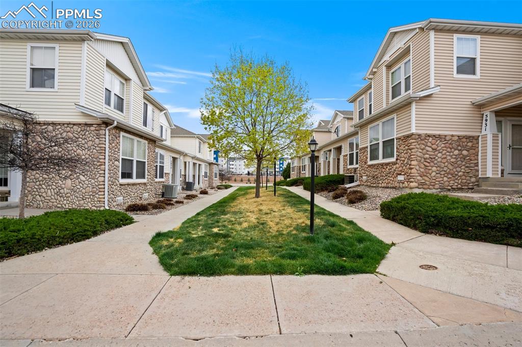 5925 Tympany Point Colorado Springs CO 80923
