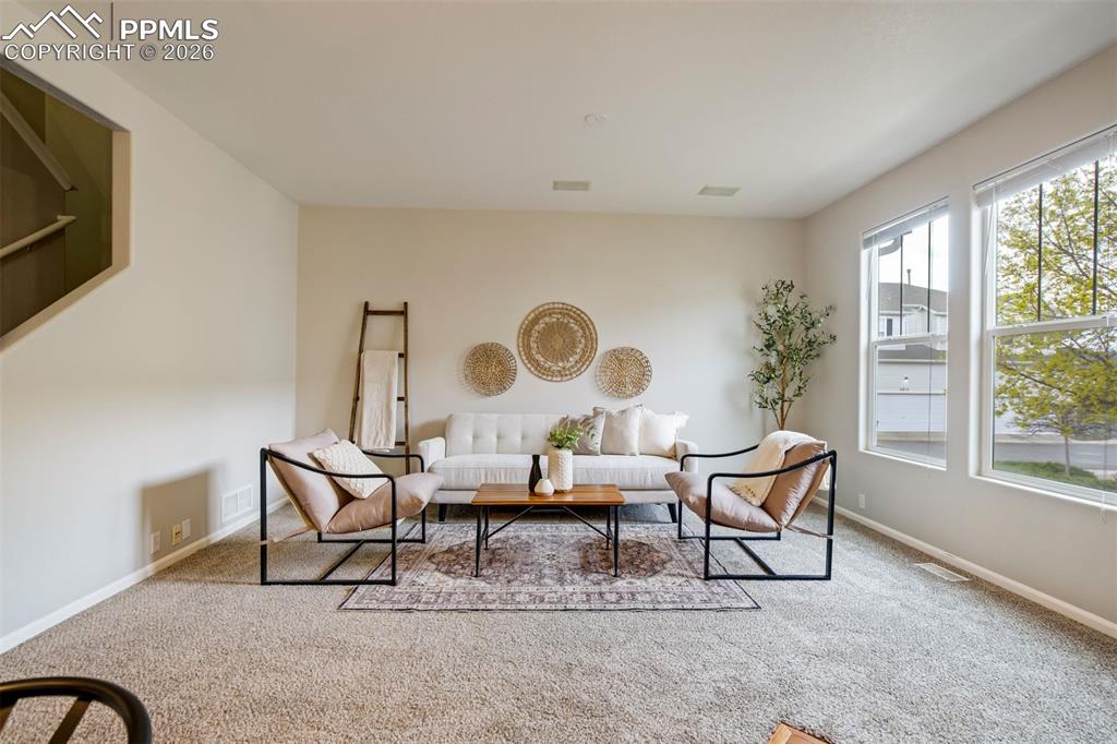 5925 Tympany Point Colorado Springs CO 80923