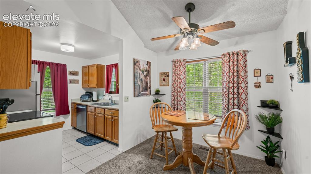 2338 Troy Court Colorado Springs CO 80918