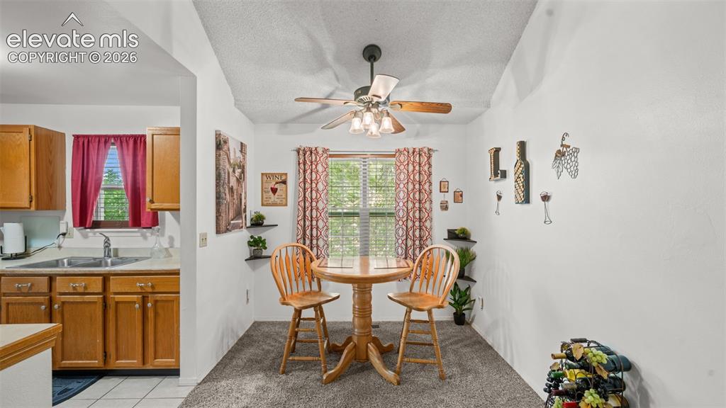 2338 Troy Court Colorado Springs CO 80918