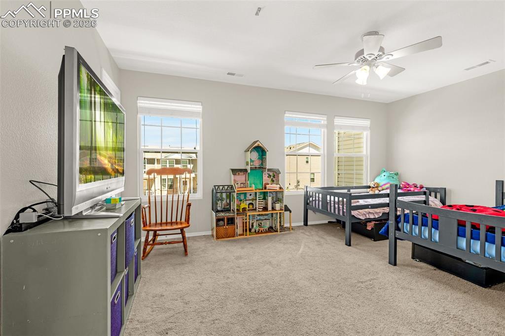 7383 Little Jimmy Grove Fountain CO 80817