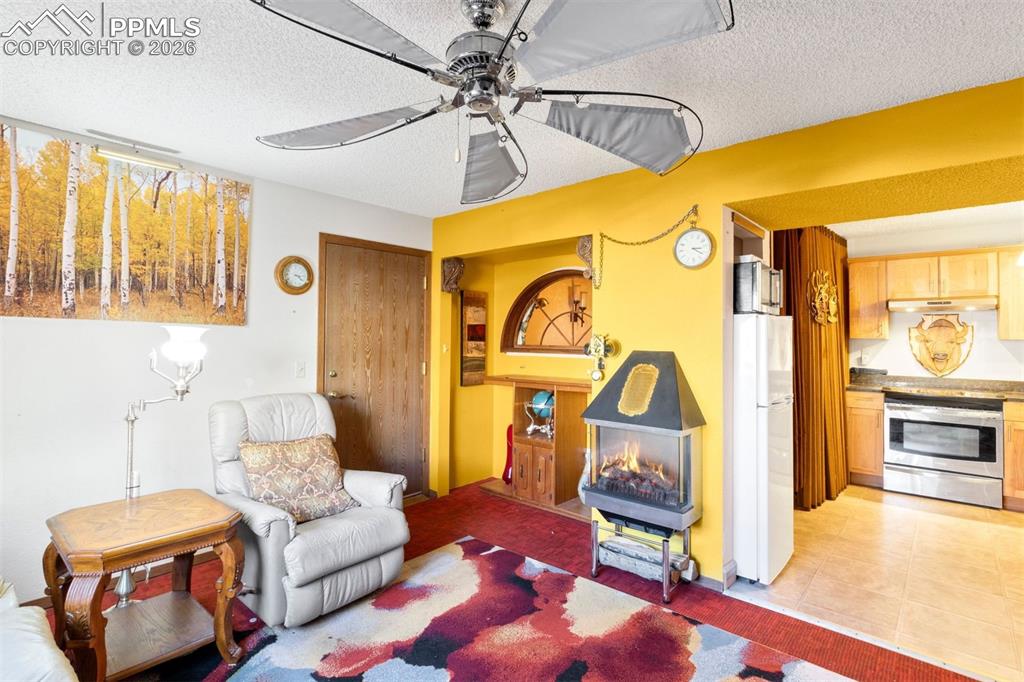 380 Paradise Circle Woodland Park CO 80863