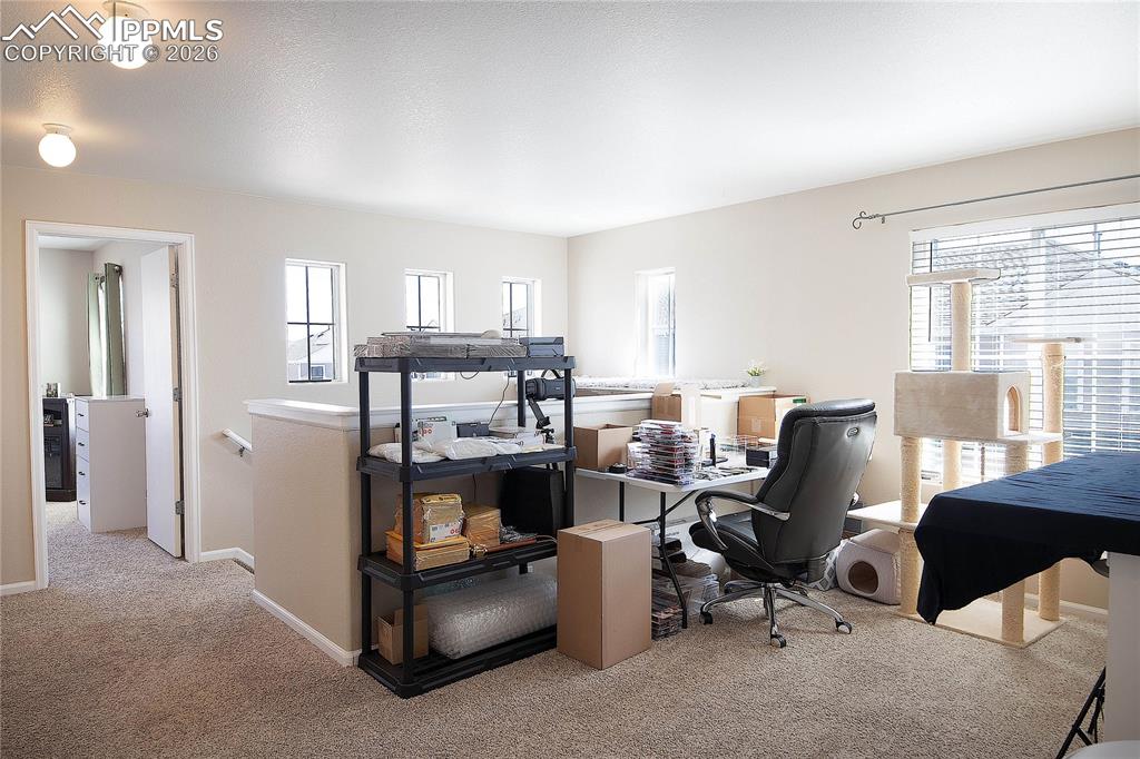 6244 Sierra Grande Point Colorado Springs CO 80923