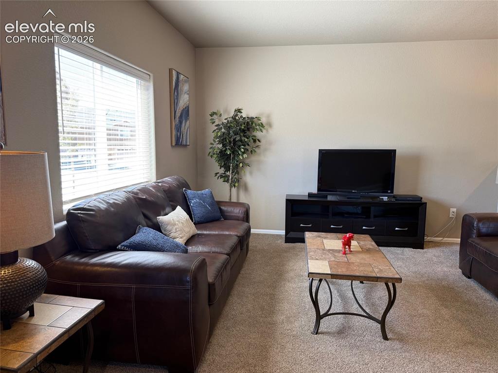 1658 Sandtoft Heights Colorado Springs CO 80951