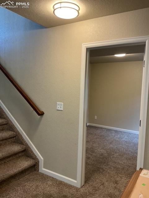 8127 Mockorange Heights Colorado Springs CO 80908
