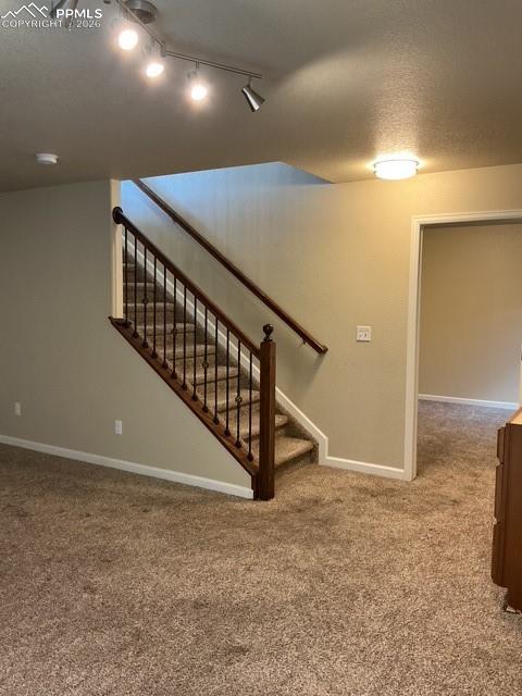 8127 Mockorange Heights Colorado Springs CO 80908