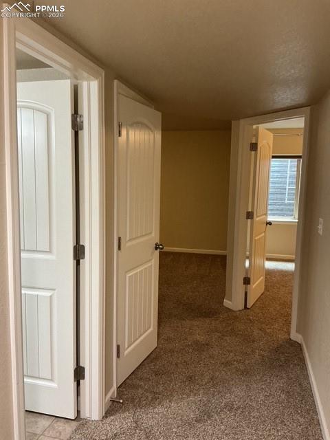 8127 Mockorange Heights Colorado Springs CO 80908