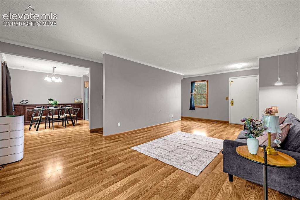 1264 Cree Drive Colorado Springs CO 80915