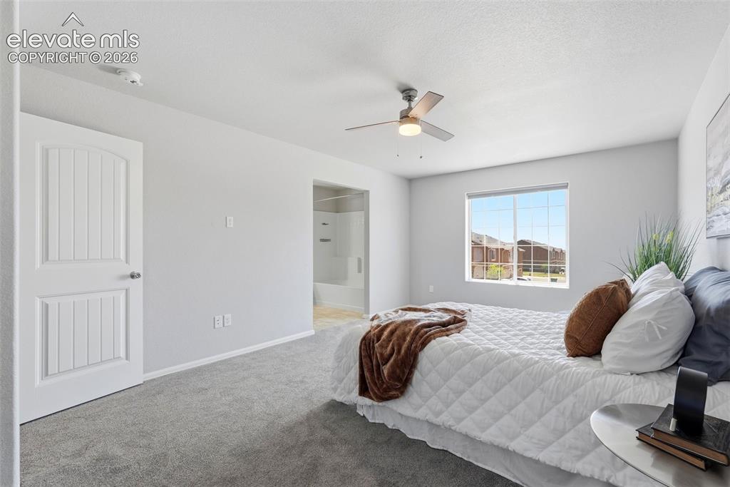 7375 Forest Meadows Avenue Colorado Springs CO 80908