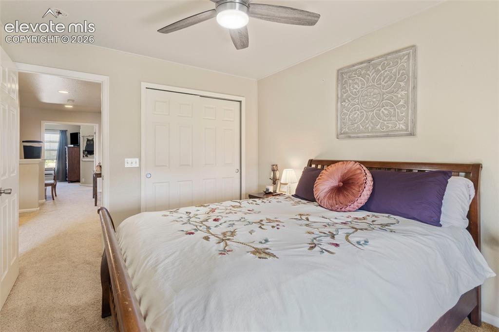 6034 Sierra Grande Point Colorado Springs CO 80923