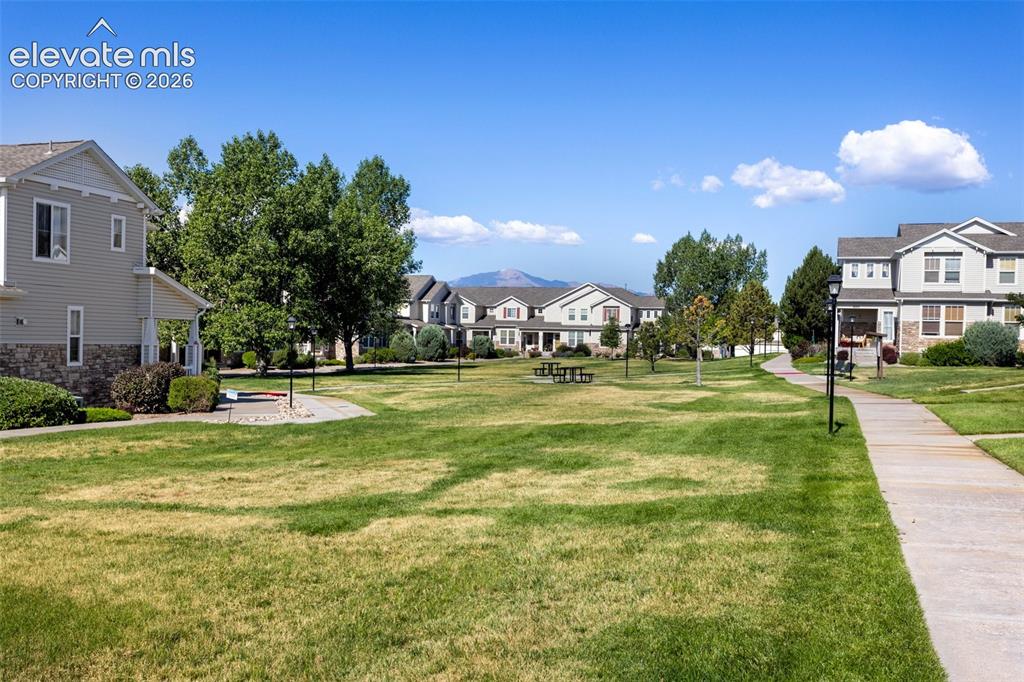6034 Sierra Grande Point Colorado Springs CO 80923