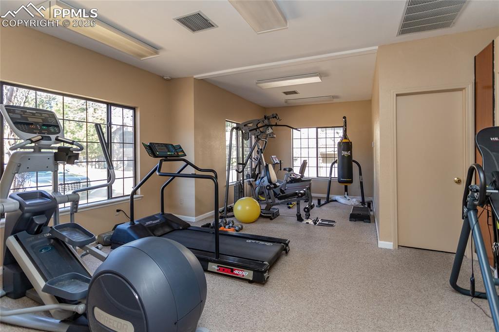 2130 Alicia Point Colorado Springs CO 80919