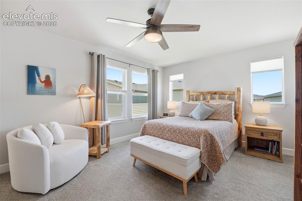 6410 Alyssum Heights Colorado Springs CO 80924