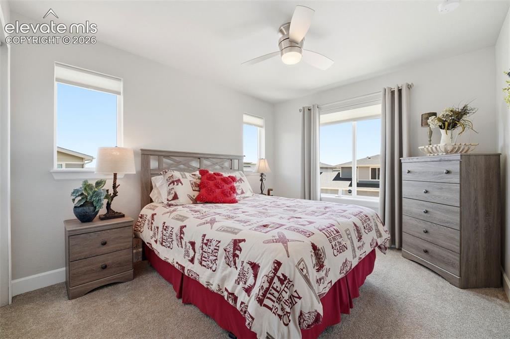 6410 Alyssum Heights Colorado Springs CO 80924