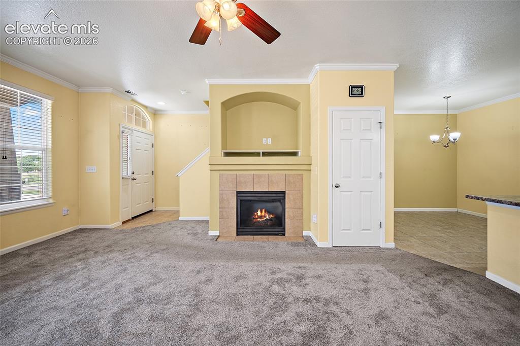 6585 Baytree Grove Colorado Springs CO 80923