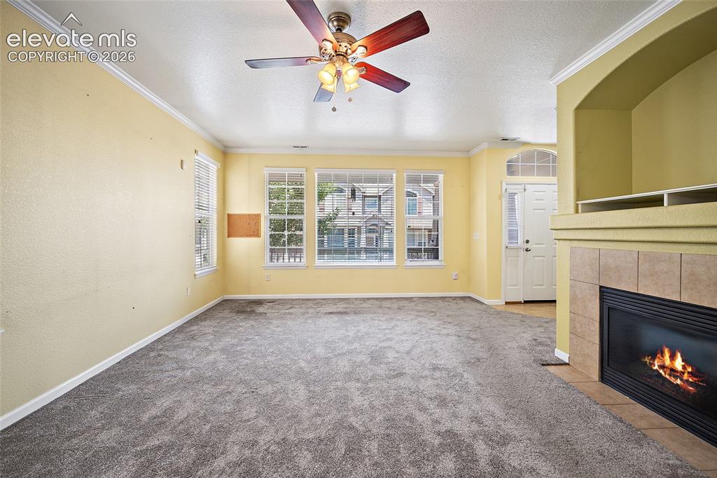6585 Baytree Grove Colorado Springs CO 80923