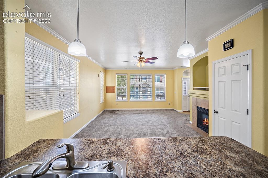 6585 Baytree Grove Colorado Springs CO 80923