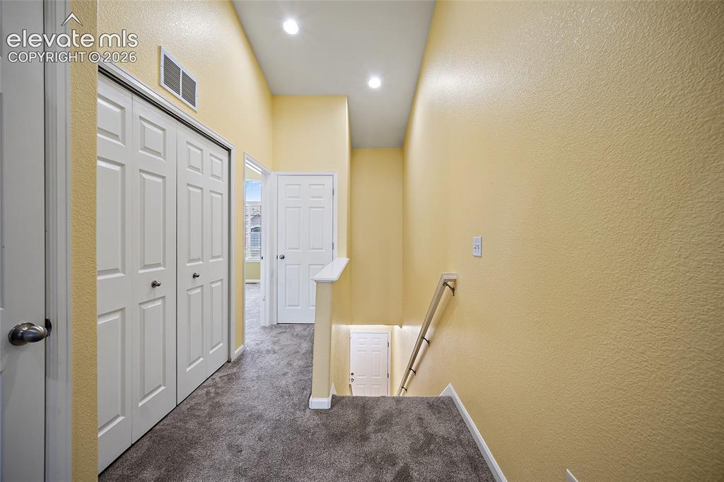 6585 Baytree Grove Colorado Springs CO 80923