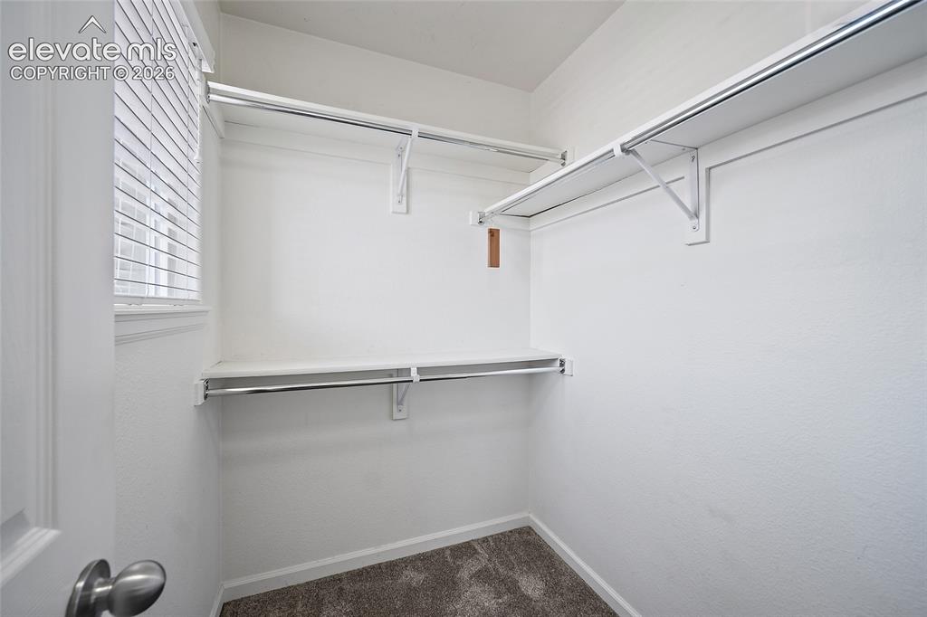 6585 Baytree Grove Colorado Springs CO 80923