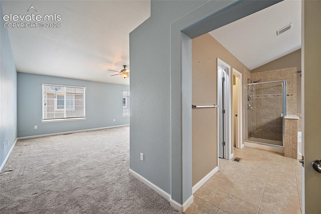 6585 Baytree Grove Colorado Springs CO 80923