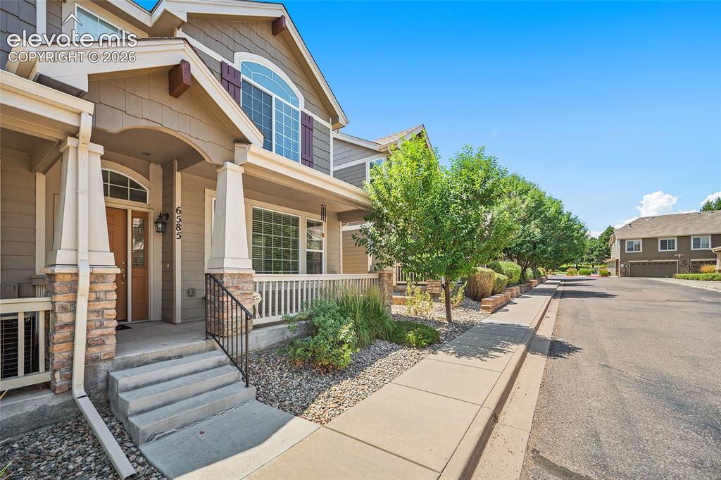 6585 Baytree Grove Colorado Springs CO 80923