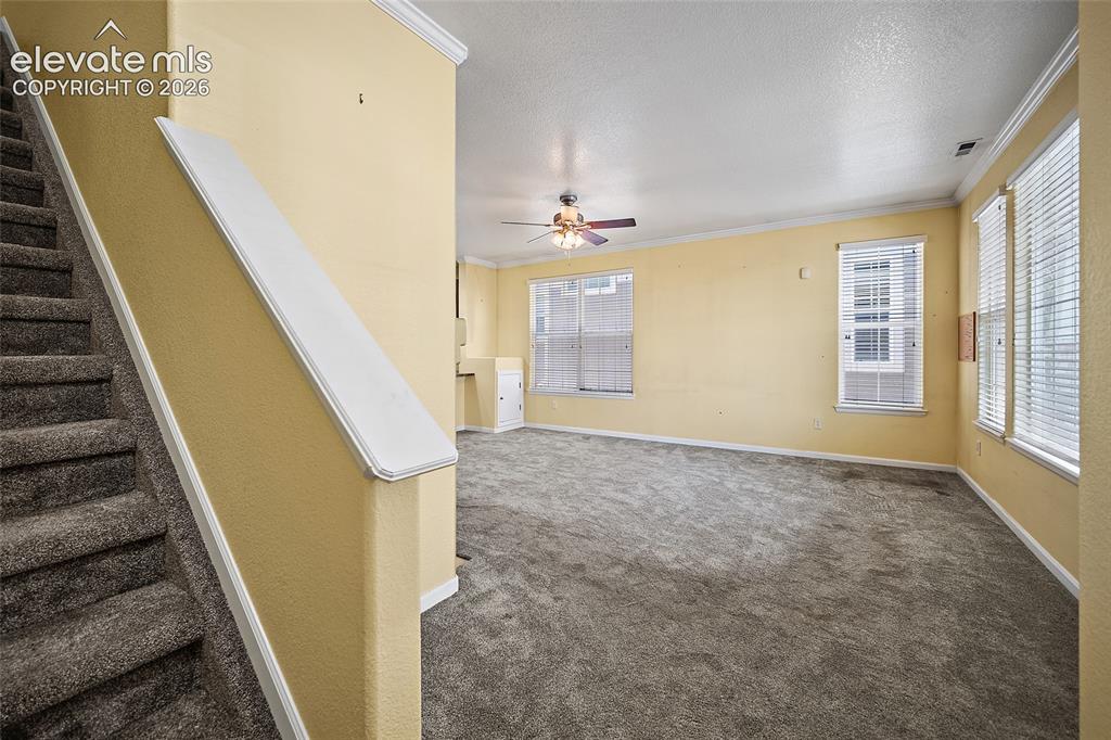 6585 Baytree Grove Colorado Springs CO 80923