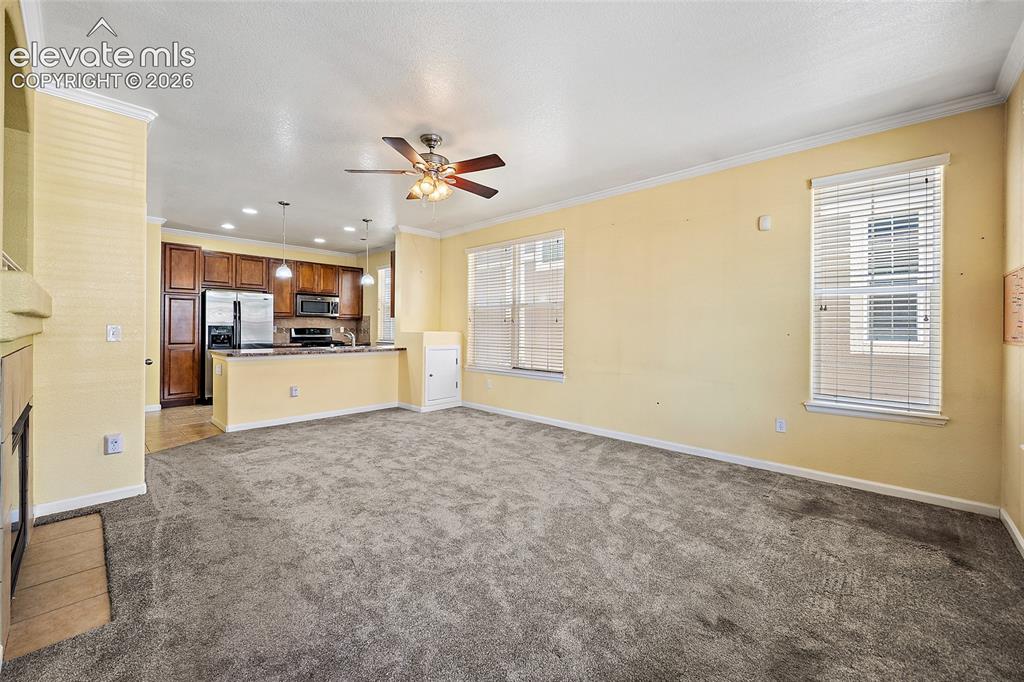 6585 Baytree Grove Colorado Springs CO 80923