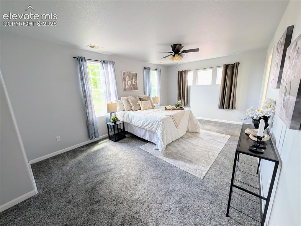 2653 Shannara Grove Colorado Springs CO 80951