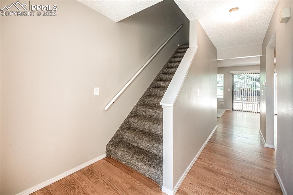 2510 Hamlet Lane Colorado Springs CO 80918