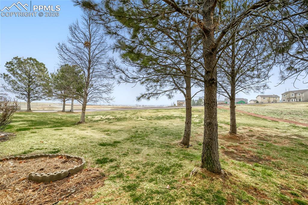 7710 Sandy Springs Point Fountain CO 80817