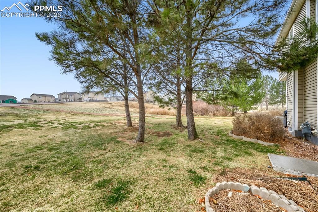 7710 Sandy Springs Point Fountain CO 80817