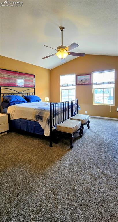 7094 Red Sand Grove Colorado Springs CO 80923