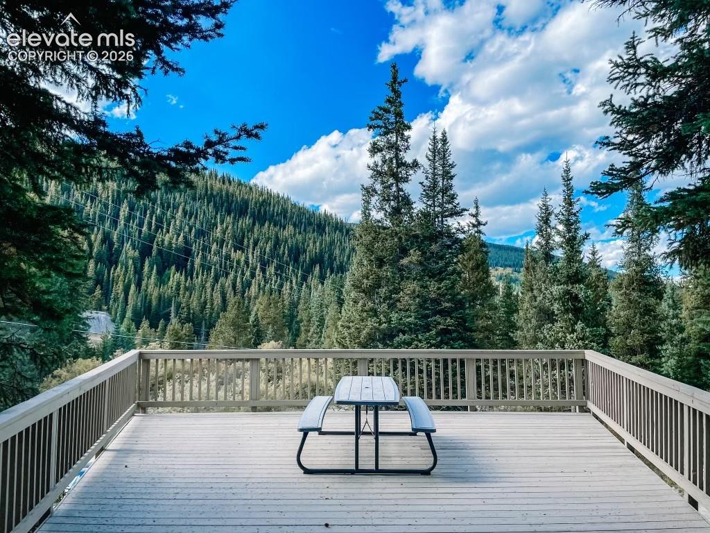 193 Range Road Breckenridge CO 80424
