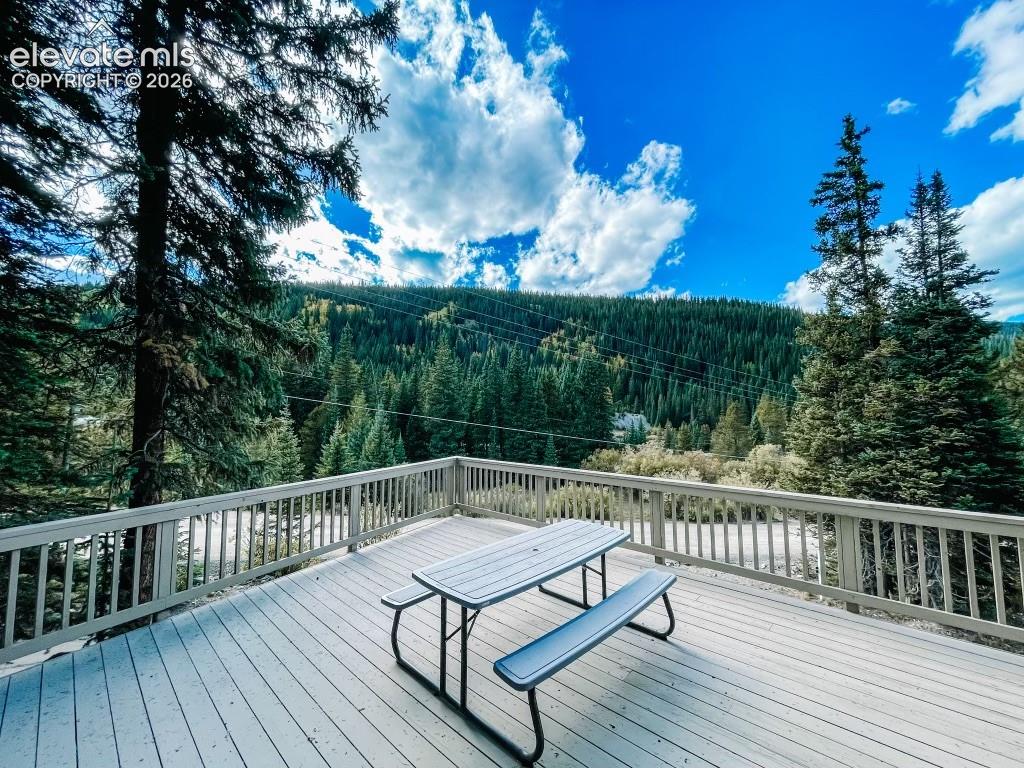 193 Range Road Breckenridge CO 80424