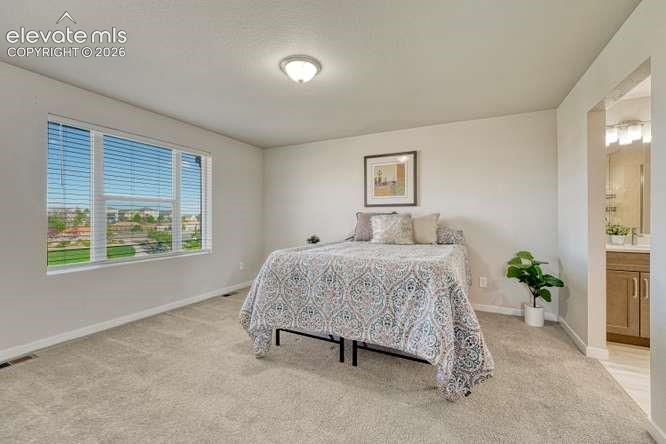 6855 Starry Night Lane Colorado Springs CO 80923
