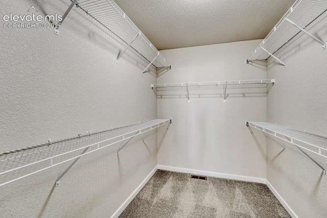 6855 Starry Night Lane Colorado Springs CO 80923