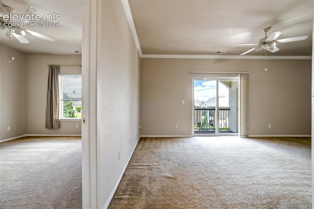 3040 Mandalay Grove Colorado Springs CO 80917